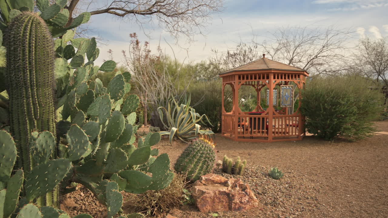 Giardino di cactus Saguaro con gazebo, ripresa panoramica