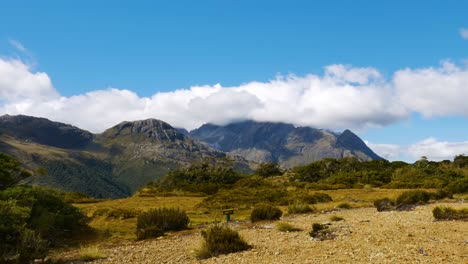 Zeitraffer-Von-Wolken,-Die-über-Berge-Ziehen,-Mit-Kleinen-Alpensträuchern-Im-Vordergrund