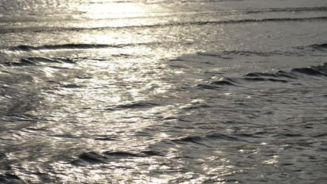 sea waves background in the sunlight