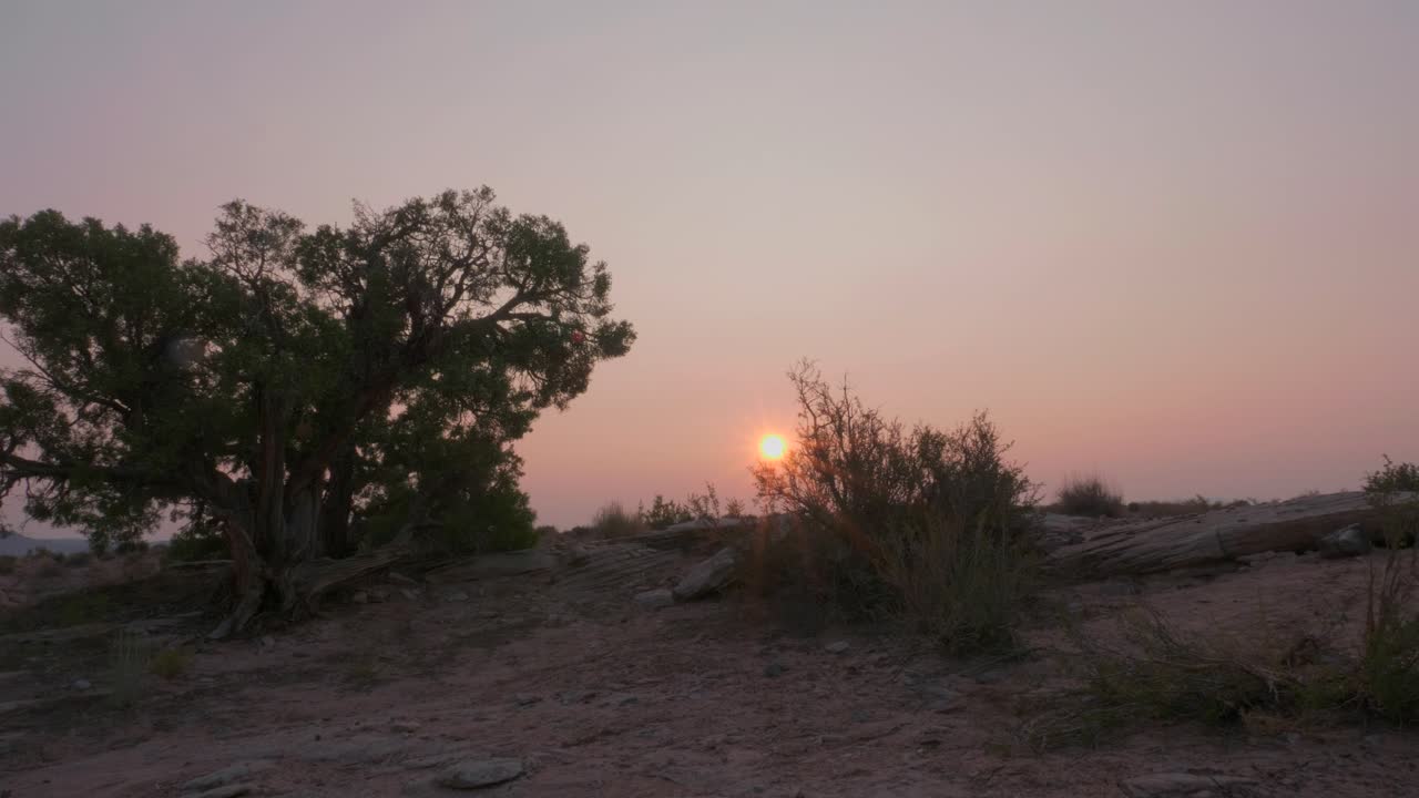 increíble sol naranja se pone sobre siluetas de árboles y arbustos desierto de moab, utah, estados unidos