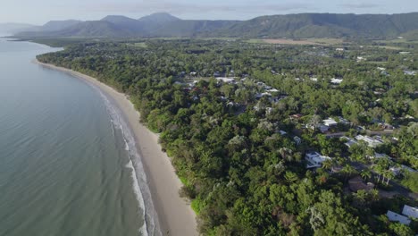 panorama of four mile beach with densely tropical forest in port douglas, qld australia