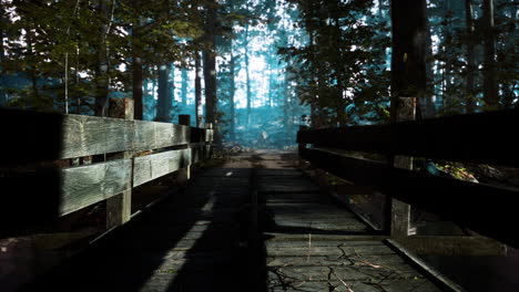 Alte-Holzbrücke-über-Einen-Kleinen-Bach-In-Einem-Park