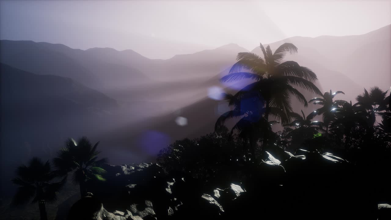 Sunset Beams through Palm Trees