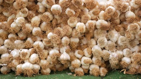 a large pile of fresh garlic bulbs