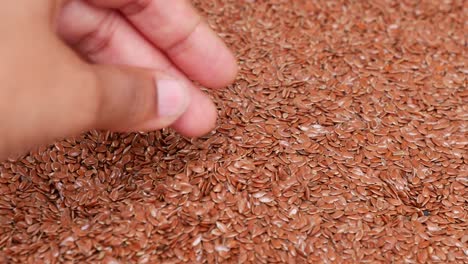 close up of flax seeds