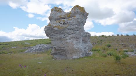 rauks - seastacks, walking around gotland rauk fields, sweden