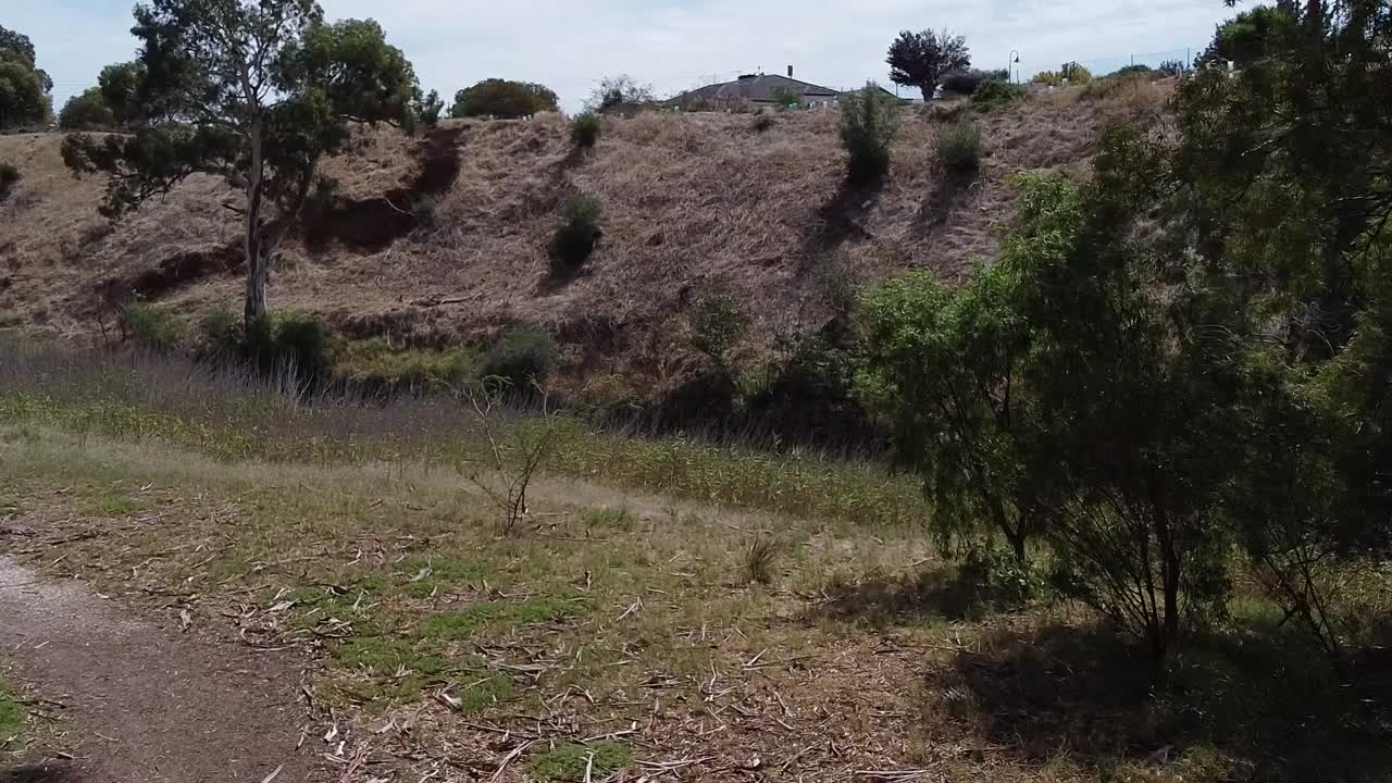 caminando por el sendero de tierra blanca del parque clonlea, gawler - sartén ancha