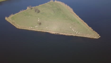 Luftdrohnenansicht-Der-Kleinen-Festungsinsel-Mit-Einigen-Schafen-In-Den-Heusden,-Noord-Brabant,-Die-Niederlande