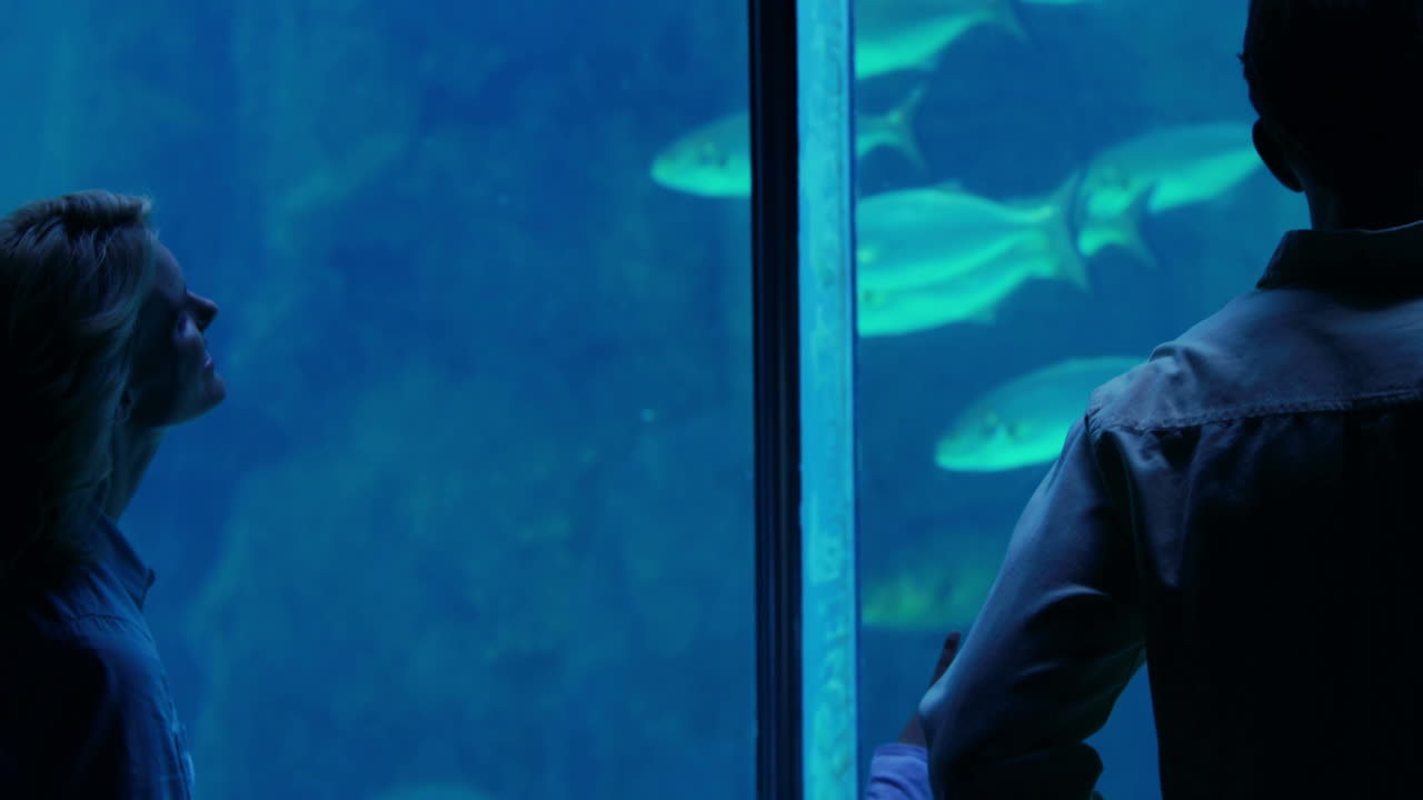 familia feliz mirando el tanque de peces