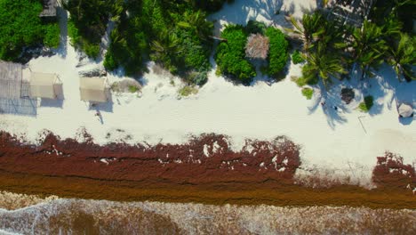 Drohnenaufnahmen-Eines-Tropischen-Weißen-Sandstrandes-In-Tulum,-Mexiko,-In-Einem-Luxusresort-Mit-üppiger-Grüner-Baumgrenze