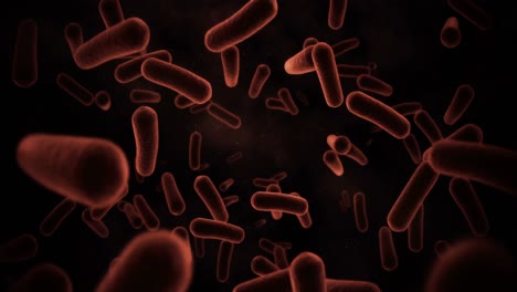 Digital-Generierte-Bakterienzellen,-Die-Vor-Schwarzem-Hintergrund-Fließen