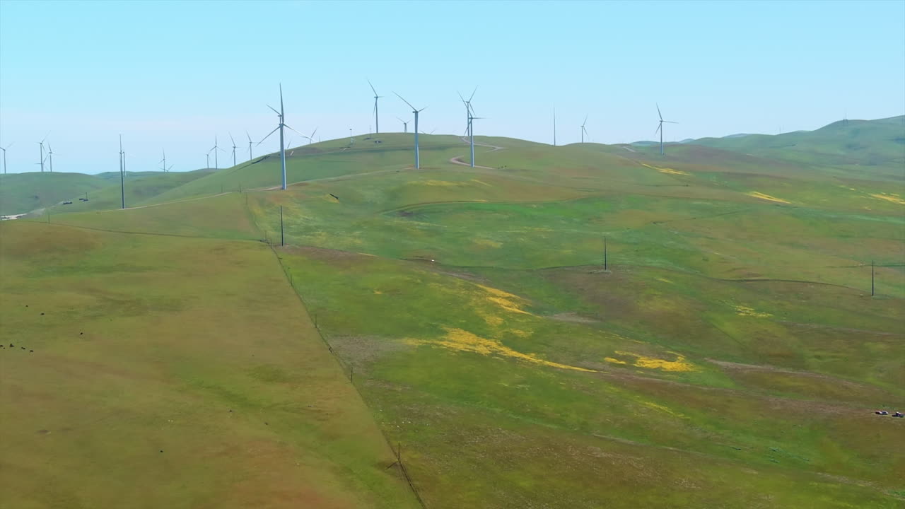 끝없는 푸른 풍경 속에 많은 풍력 터빈이 있습니다.