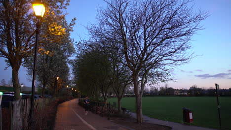 Female jogger at King George's park at night, London