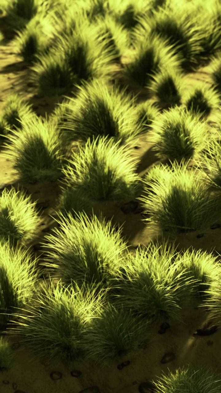 Erba che cresce in un campo ben illuminato di giorno in un ambiente naturale