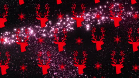 Animation-of-reindeer-heads-and-light-spots-on-black-background-at-christmas