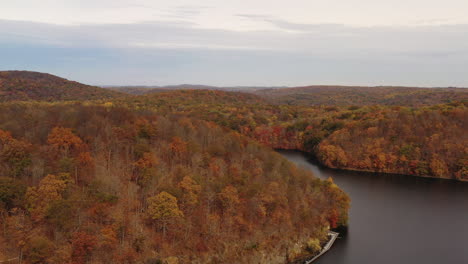 aerial dolly out over the orange colored tree tops - mountains