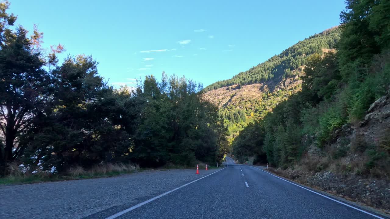 Forward-facing car view on sunlit, tree-lined mountain road with smooth camera movement and natural lighting