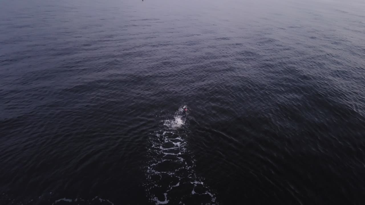 Swimming In Ocean Parallax Drone Pan Up
