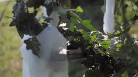 wooden swing decorated with green ivy swinging in wind, closeup slow motion