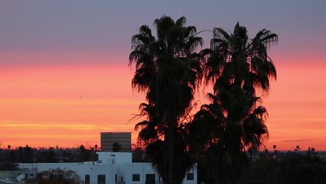 hermoso y colorido cielo de la hora del crepúsculo detrás de palmeras con aviones volando