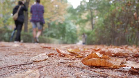 runner in autumn along park path. lifestyle habits. endurance and resistance sport training.