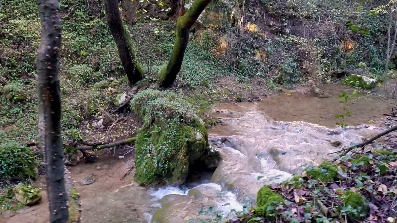lado a pie del río en la naturaleza