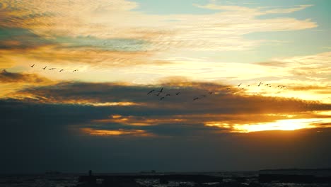 Vögel-Fliegen-In-Einem-Wunderschönen-Sonnenuntergang.-Vogelwanderung