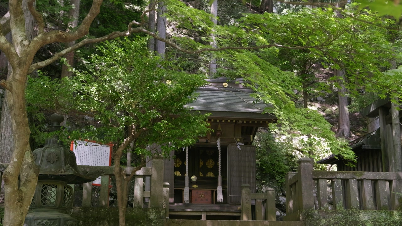 Static shot of Shrine building in Japan with lush summer greens