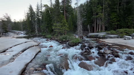 rushing river flowing in a temperate forest