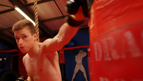 boxer practicing boxing with punching bag