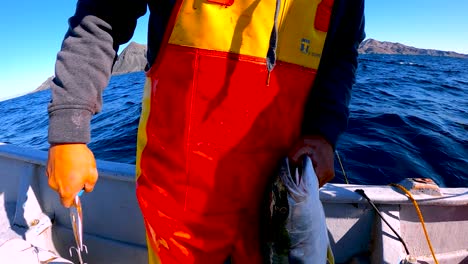 un pescador con paletas naranjas elimina el señuelo de los peces oceánicos