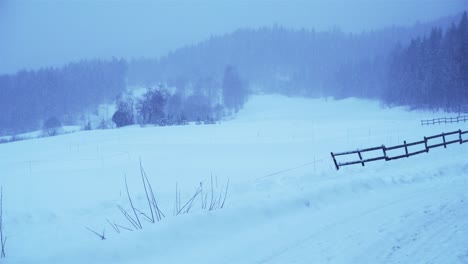 Campo-En-Noruega-En-Invierno-Extremo-En-Blizzard