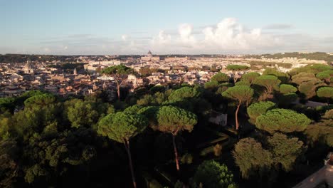 Tropical-birds-in-Villa-Borghese,-park-in-Rome,-Italy