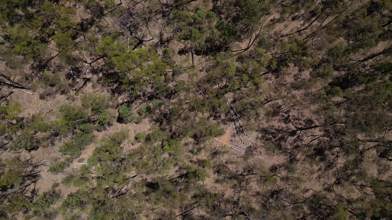 Aerial views over bushland on the Leichhardt Highway, North of Miles, Queensland, Australia.