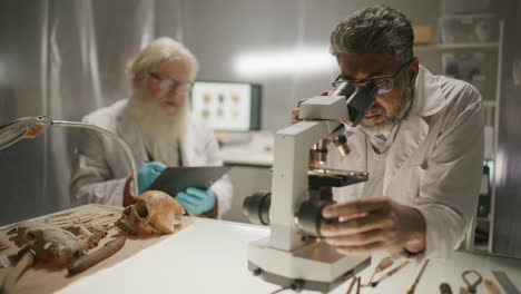 two senior archaeologists conducting microscopic research in laboratory