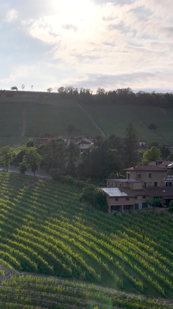 Panoramica aerea di rigogliosi vigneti verdi e case sulle colline italiane