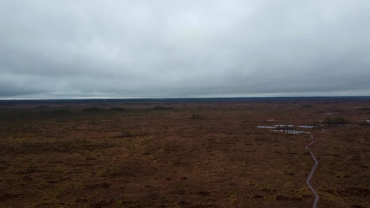 Aerial View of a Vast Bog Landscape