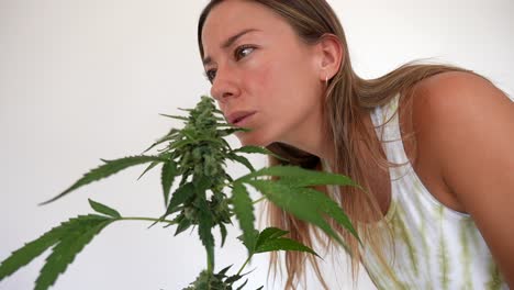 Beautiful-happy-and-smiling-caucasian-girl-with-a-flower-pot-of-a-small-cannabis-plant-smelling