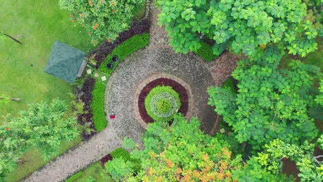 aerial view of a beautiful garden with lush greenery