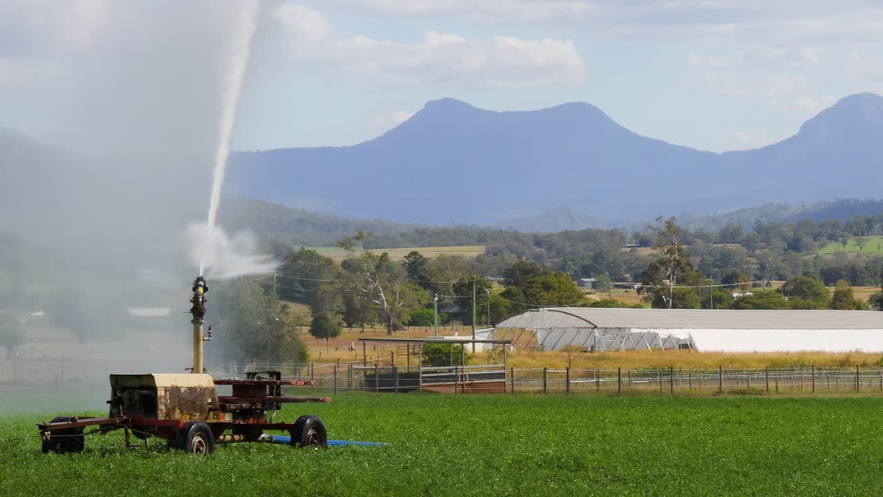 큰 초록색  을 관개 하는 물 대포