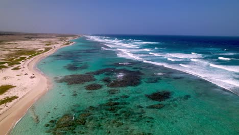 aerial tilt up playa a lo largo de la costa este de aruba