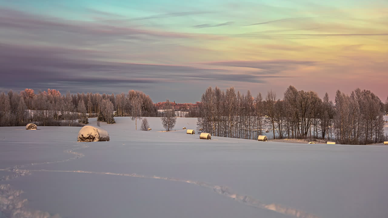 겨울 숲 풍경을 통해 일몰 시간 동안 붉은 색 하늘의 저속 촬영