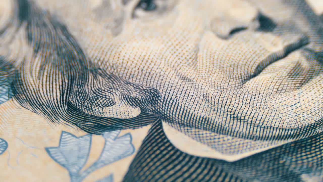 매크로로 20달러 지폐에 있는 앤드류 잭슨의 느리게 회전하는 초상화