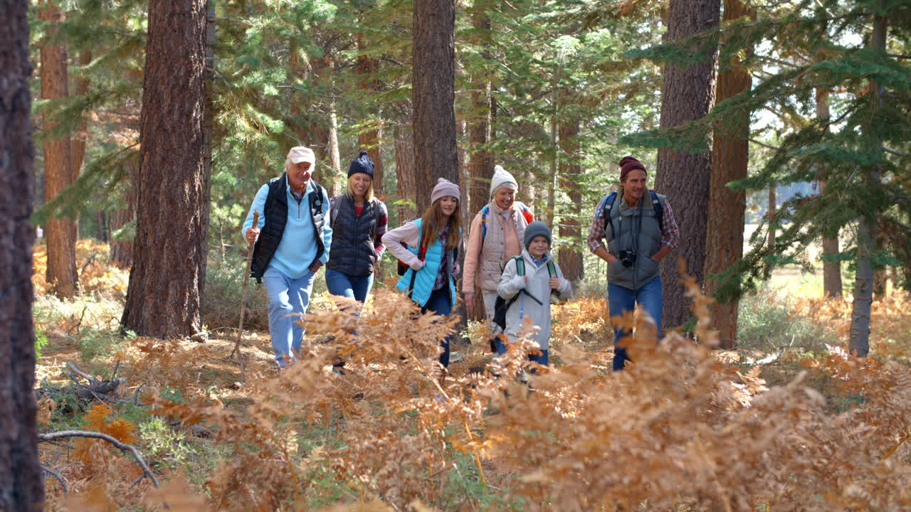familia de varias generaciones caminando por un sendero forestal