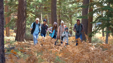 multi generation family walking on a forest trail