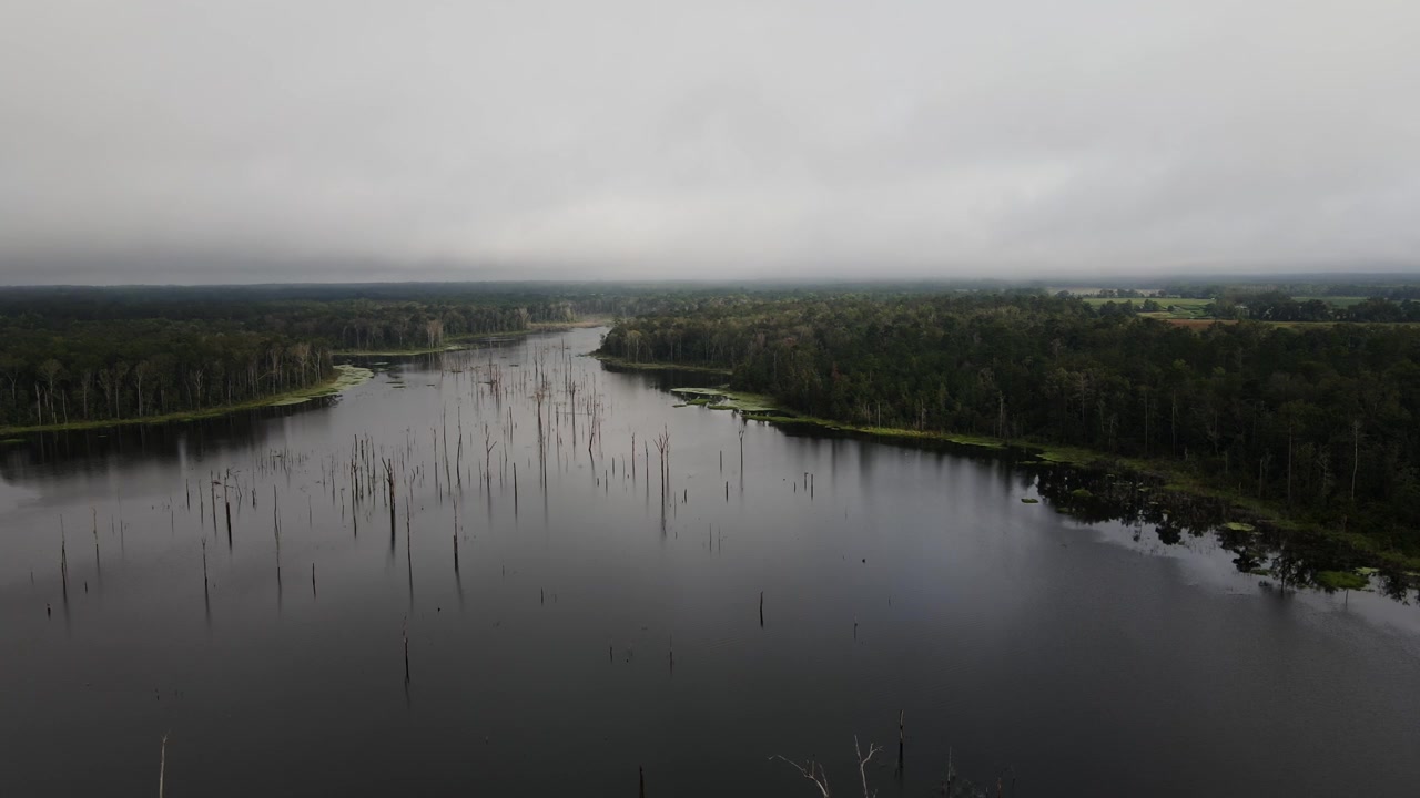 Sumpområde og skove mod overskyet himmel ved solopgang. Luftfoto med drone