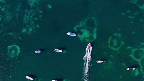 top down aerial view of a speedboat driving between other parked boats