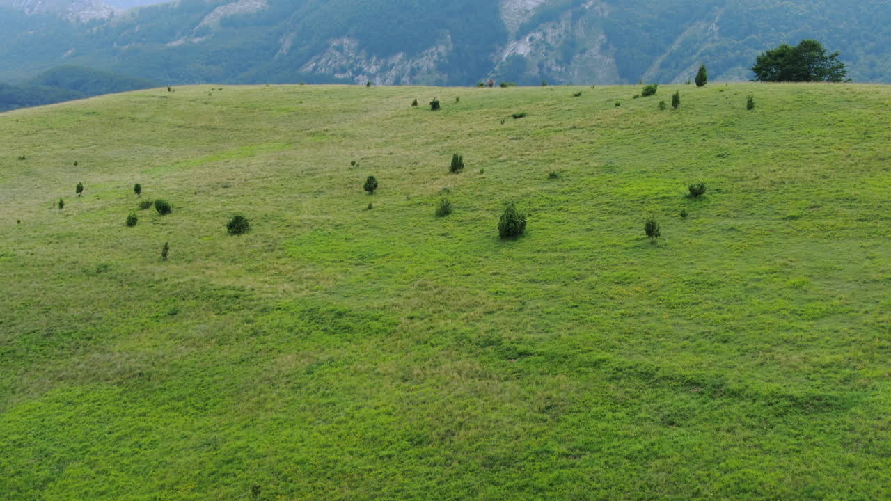 An expansive green field extends into the distance meeting a forest and mountains in the background with a few trees scattered across the terrain