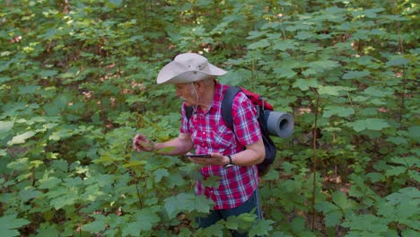 abuelo mayor activo aventurero explorando árboles del bosque, plantas con su tableta digital