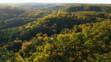 boundless autumnal forest trees in rural mountains of witomino in gydnia poland